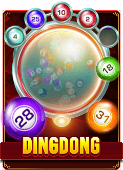 dingdong